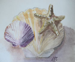 21 Shell Watercolor